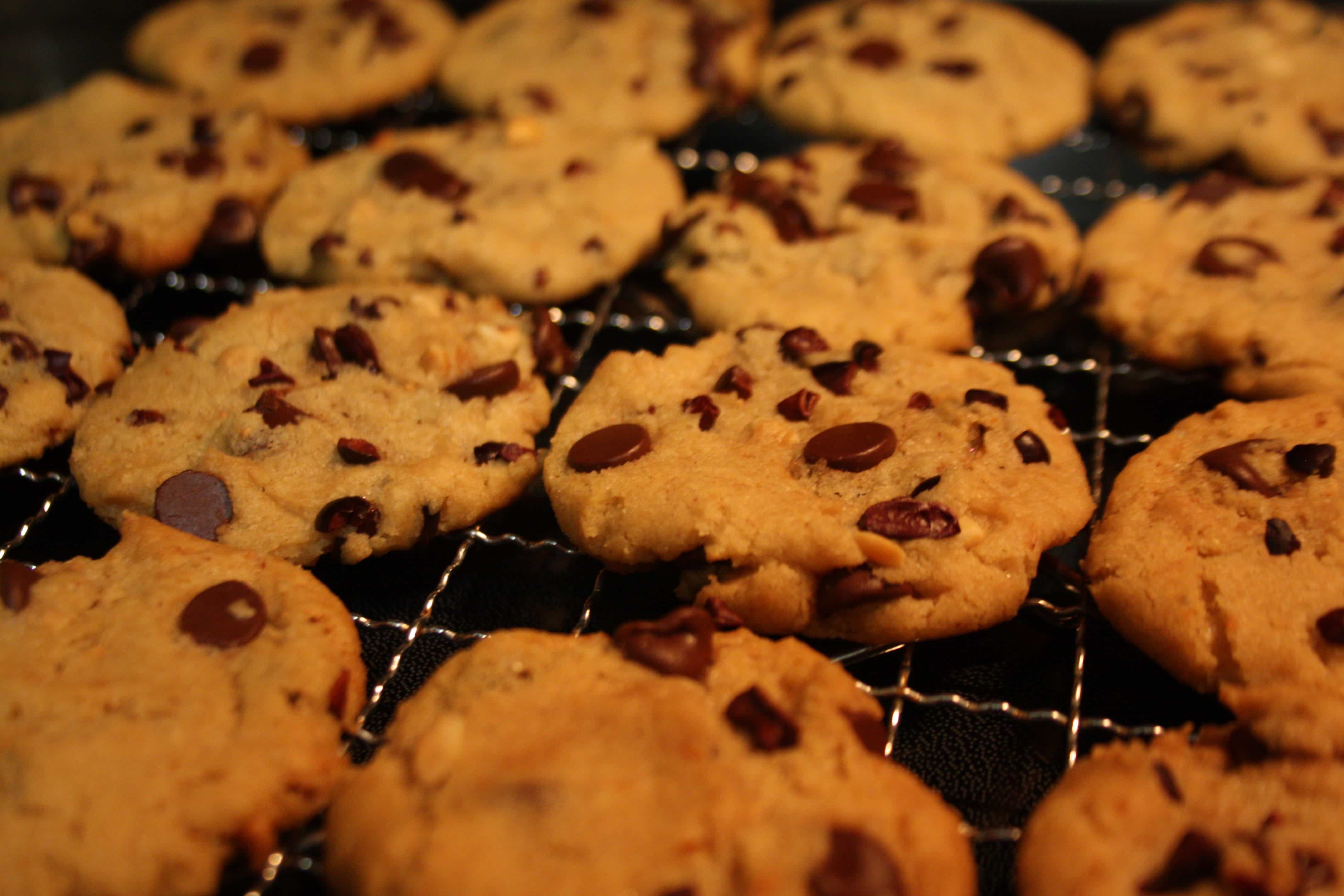 more-chocolate-chip-cookies-1